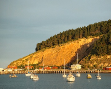 The Oamaru Harbour